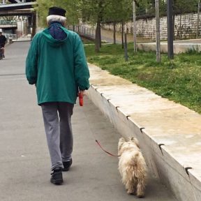 Lyon dog walking along the river