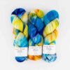 Merino Twist Skein Tracy Chapman