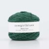 Merino Twist 50g Rainforest