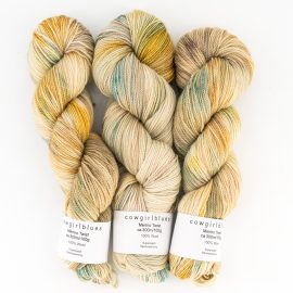 Merino Twist Skein I'm Like a Bird