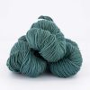 NSW Merino DK 100g Rainforest